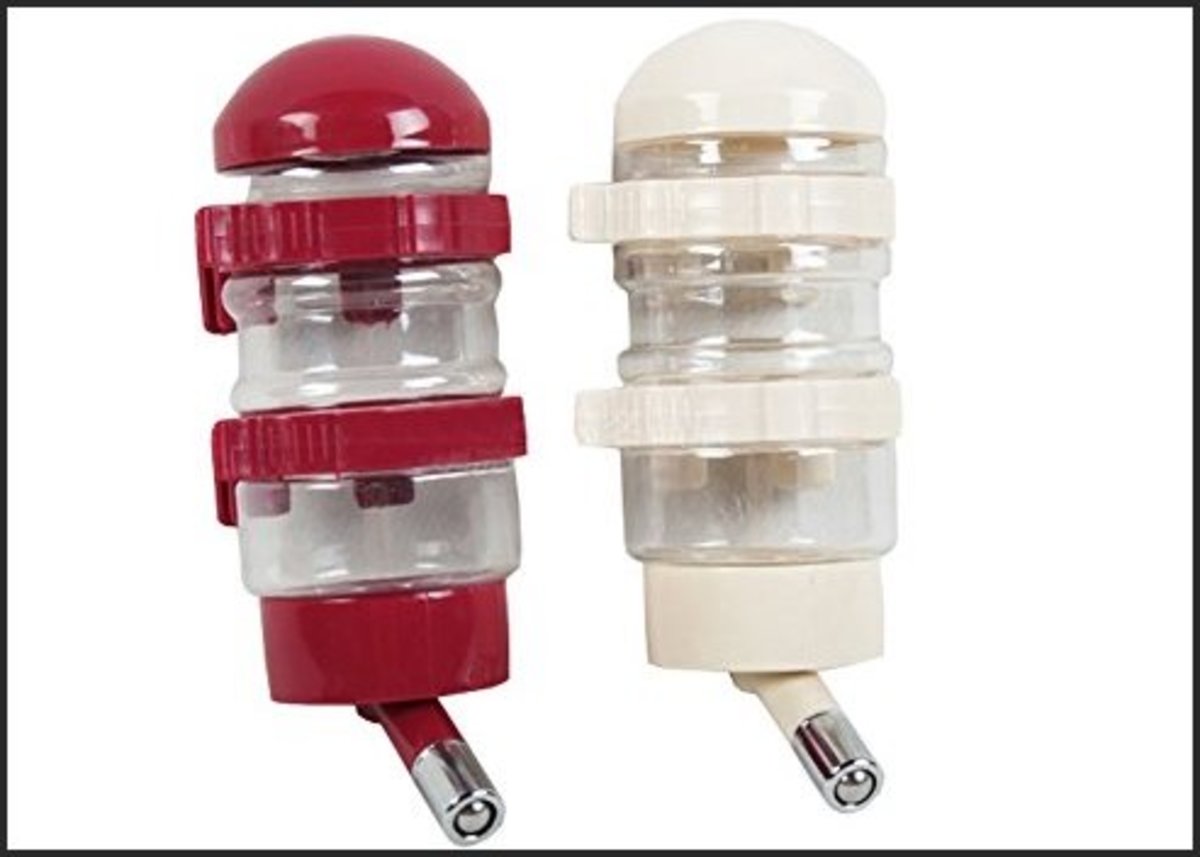 How to Choose the Best Dog Water Dispenser PetHelpful