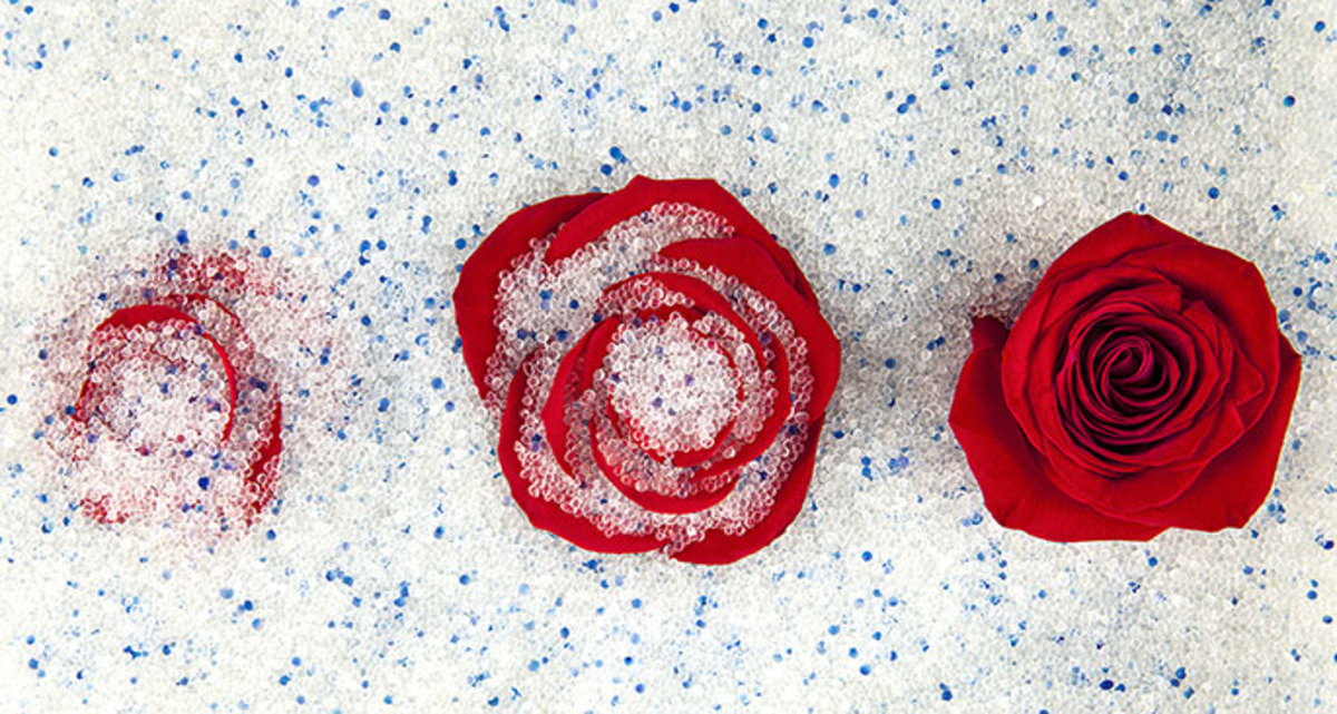 Dried Flower Preserving Spray Uk Best Flower Site