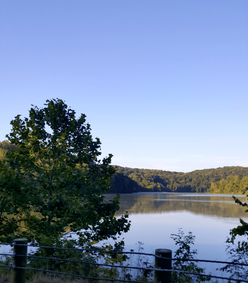 A Visitor's Guide to Salt Fork State Park in Southeast Ohio WanderWisdom