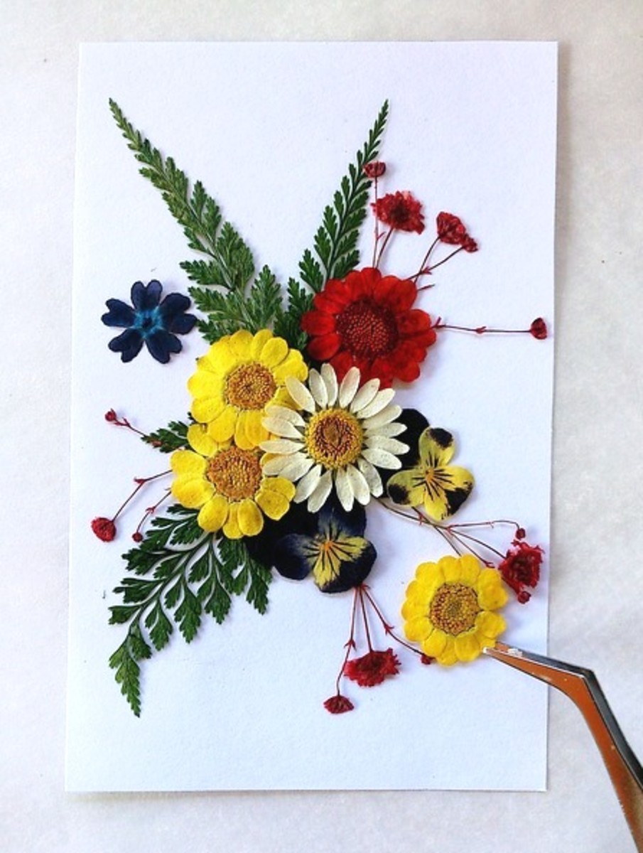 How to Press Flowers for Pretty Cards, Pictures and Decor Items HubPages