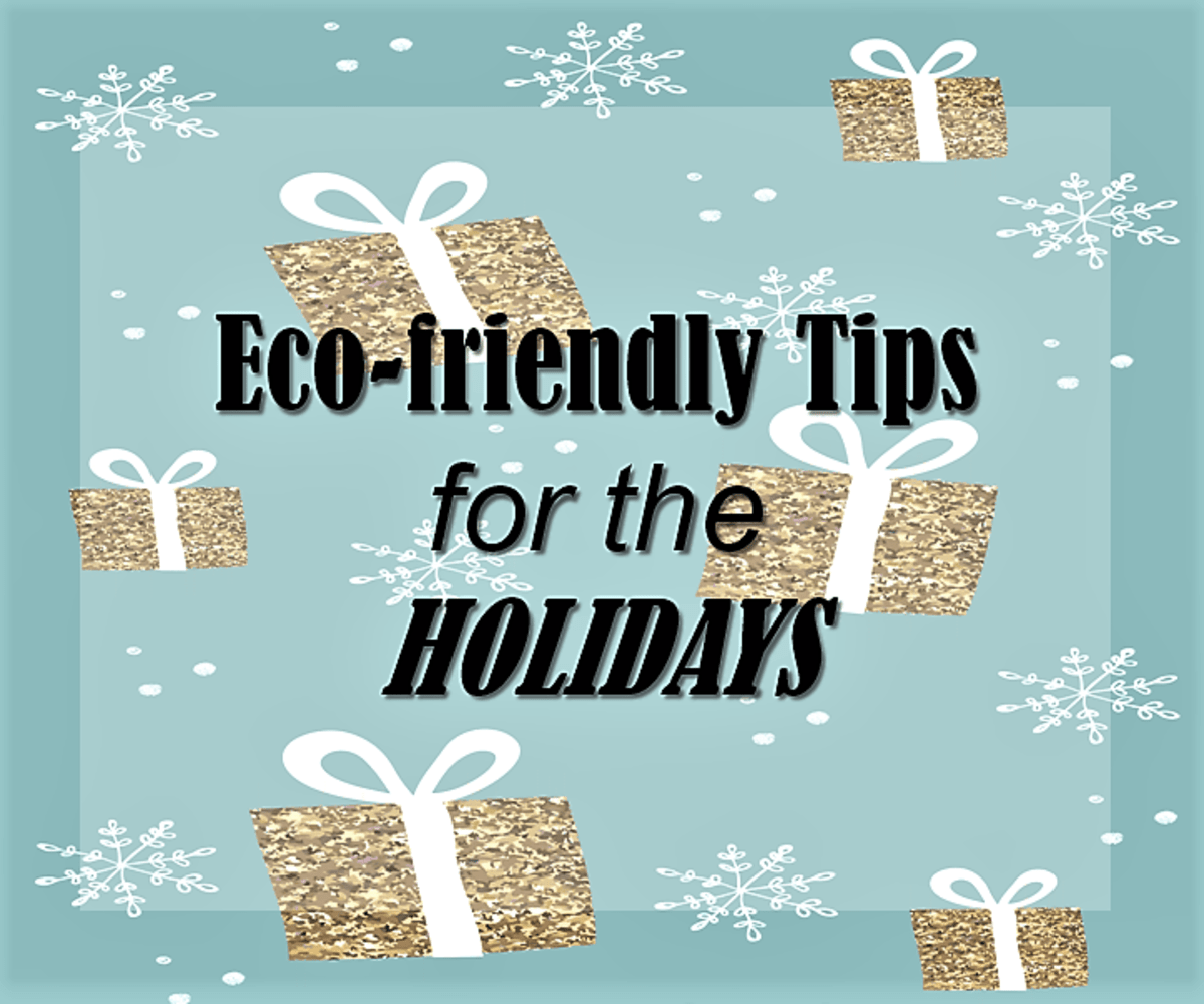 10 Ecofriendly Tips for the Holidays Holidappy