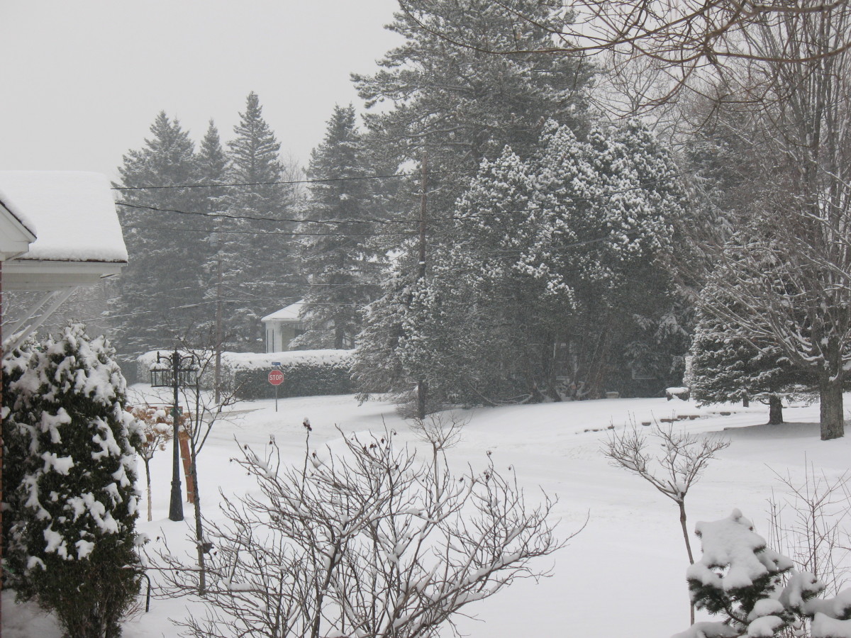 It Is God Who Gives the Increase HubPages