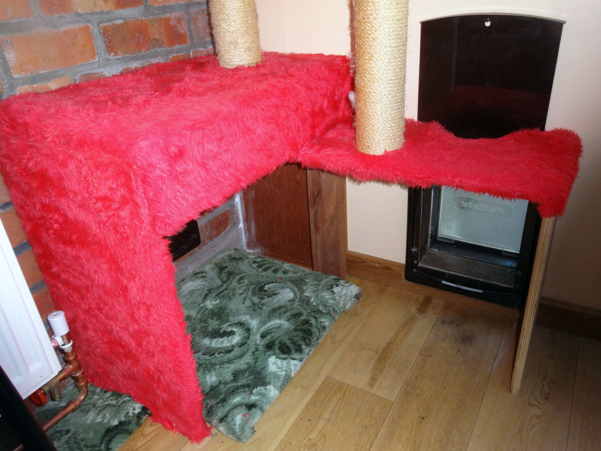 DIY Insulating Your Cat Flap PetHelpful