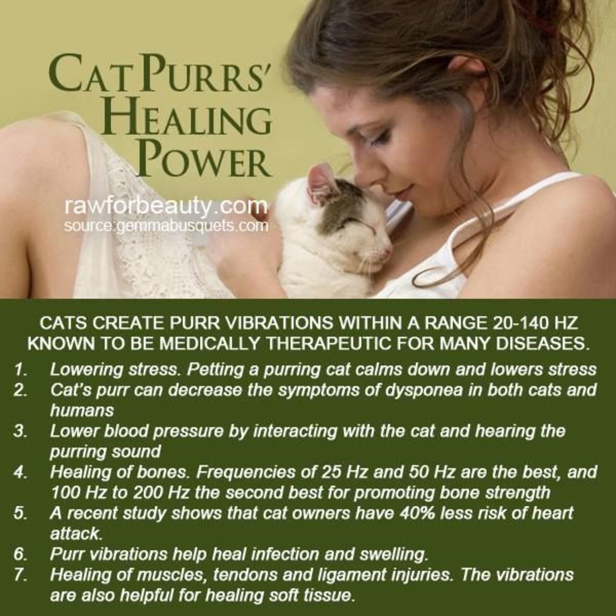 The Healing Power of the Cat PetHelpful