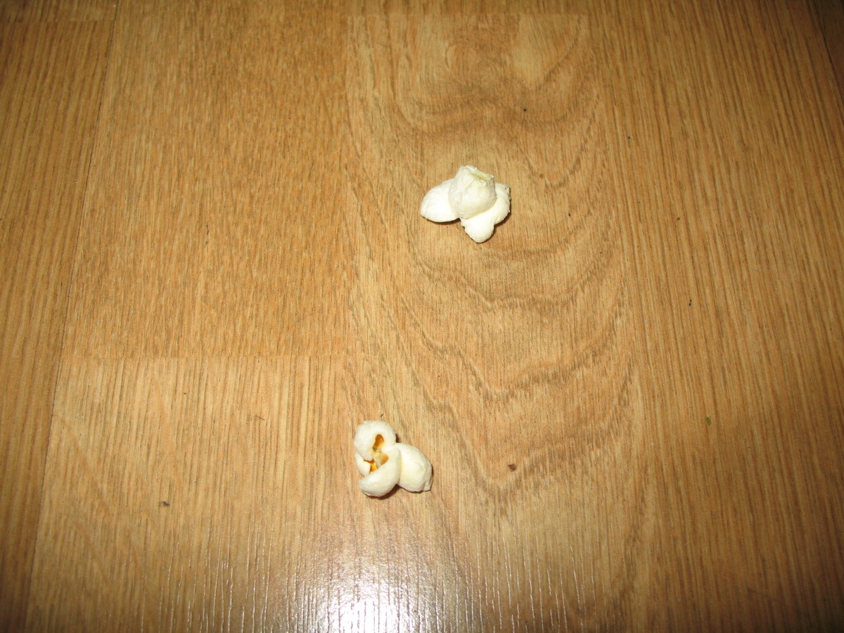 What to Do if You Drop Food On the Floor Delishably