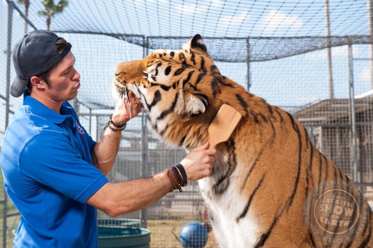 Alexander Lacey Big Cat Trainer and Animal Lover Owlcation