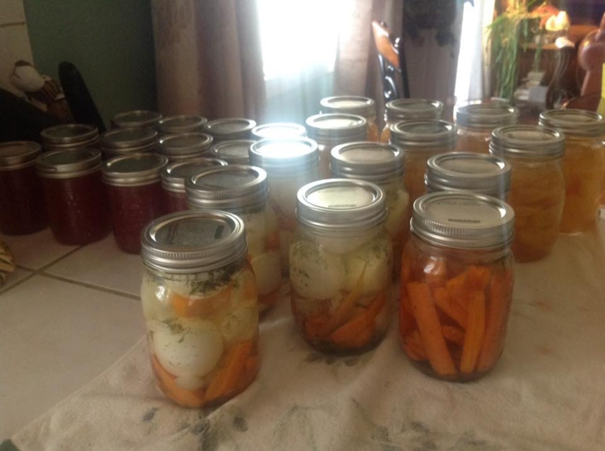 How to Freeze and Can Your Food Delishably