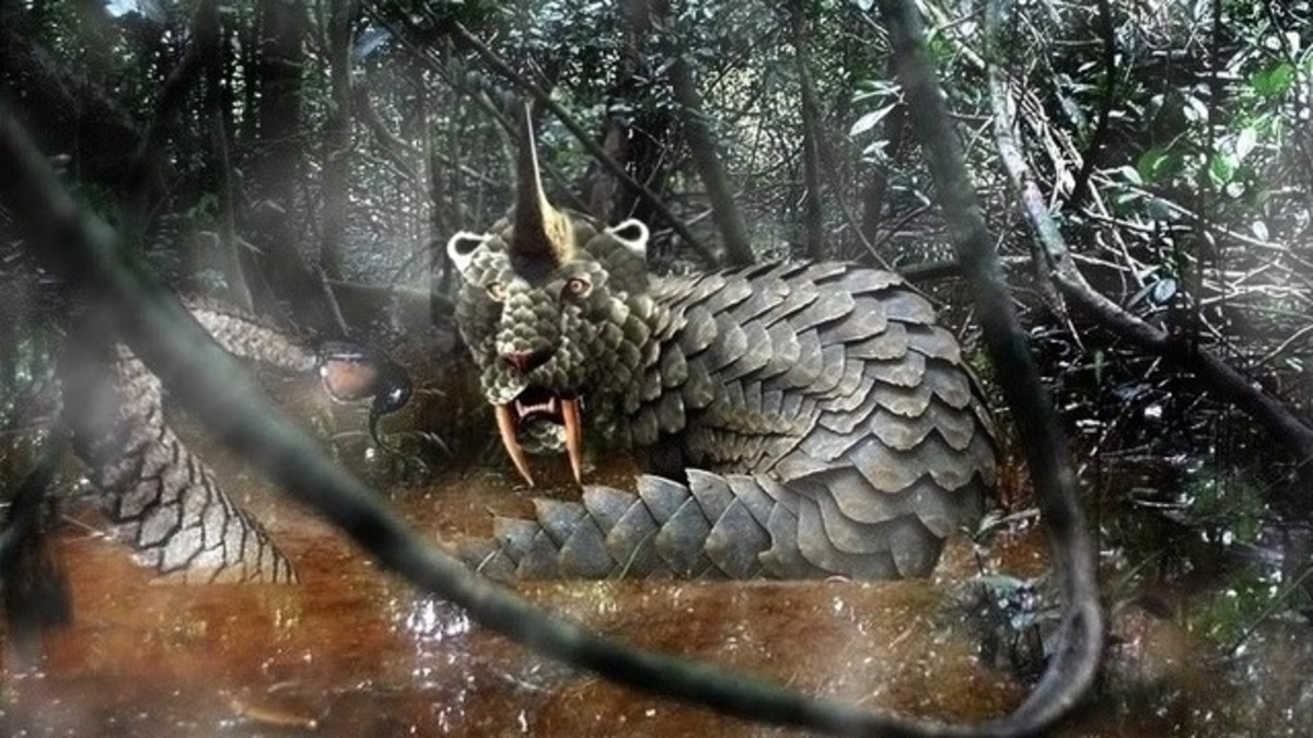 African Cryptids 9 Mysterious Monsters of Africa Exemplore