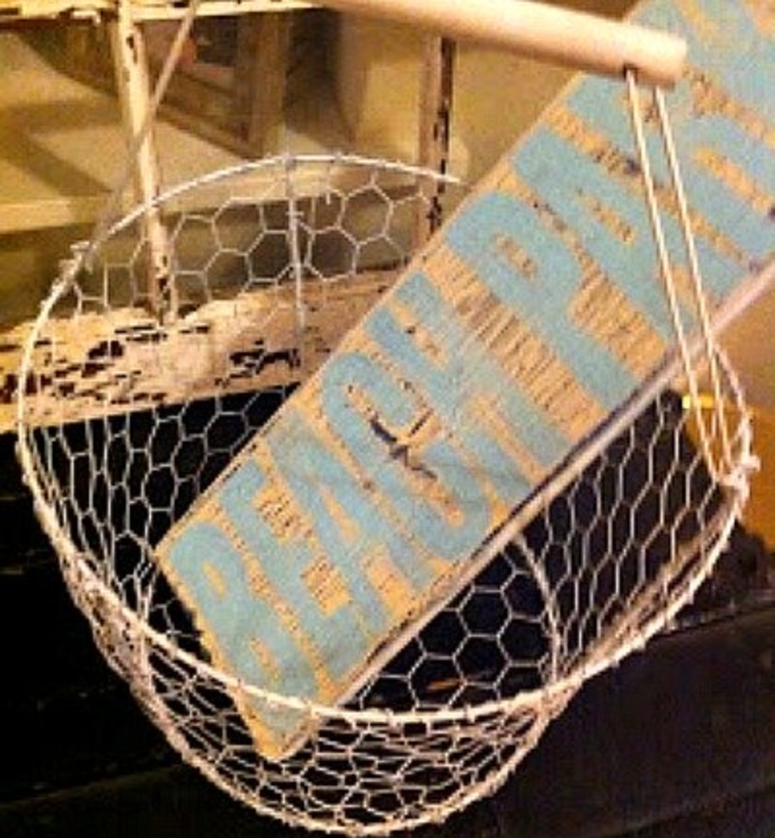 40 Rustic Chicken Wire Craft Ideas