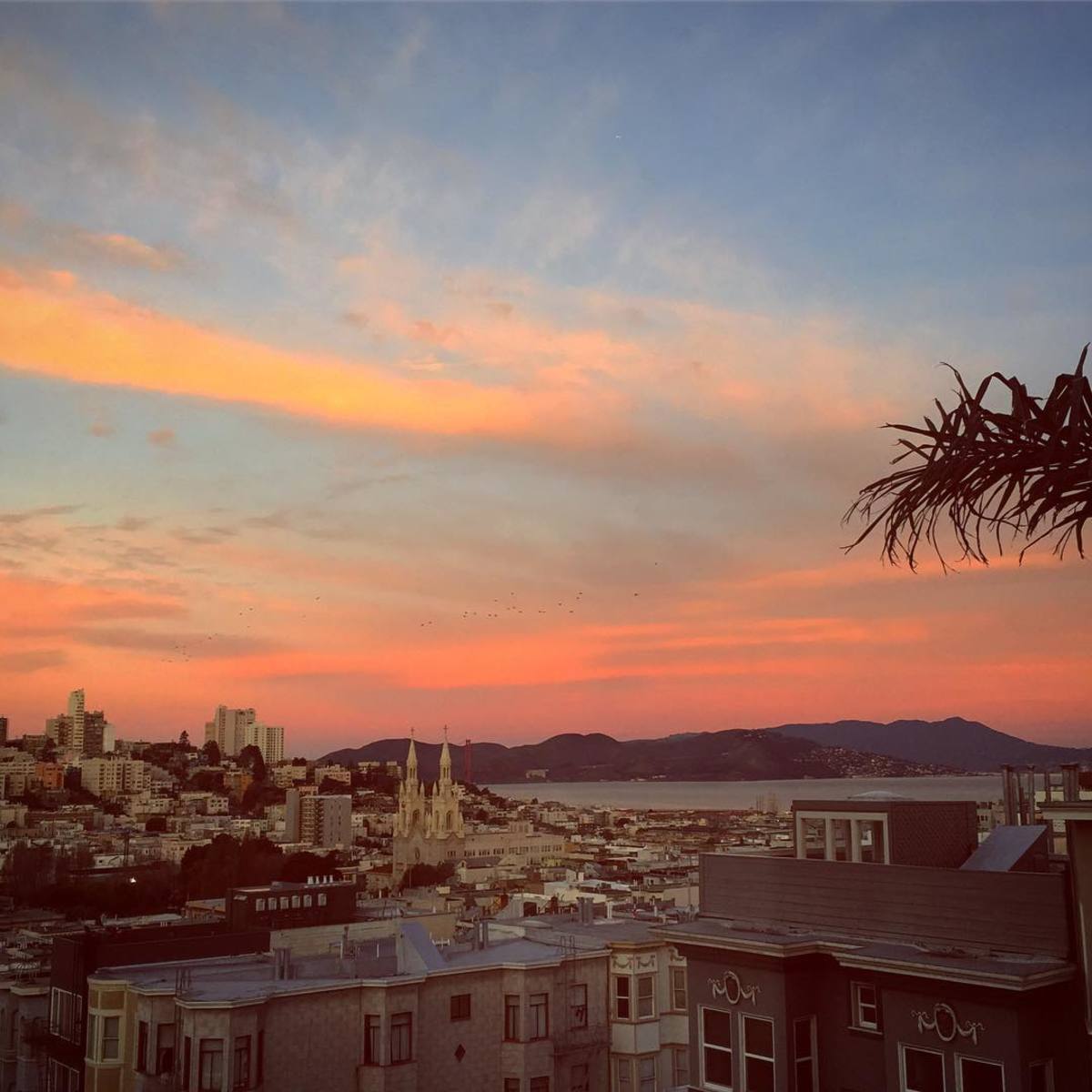 Top Things to Do in San Francisco’s North Beach Neighborhood WanderWisdom