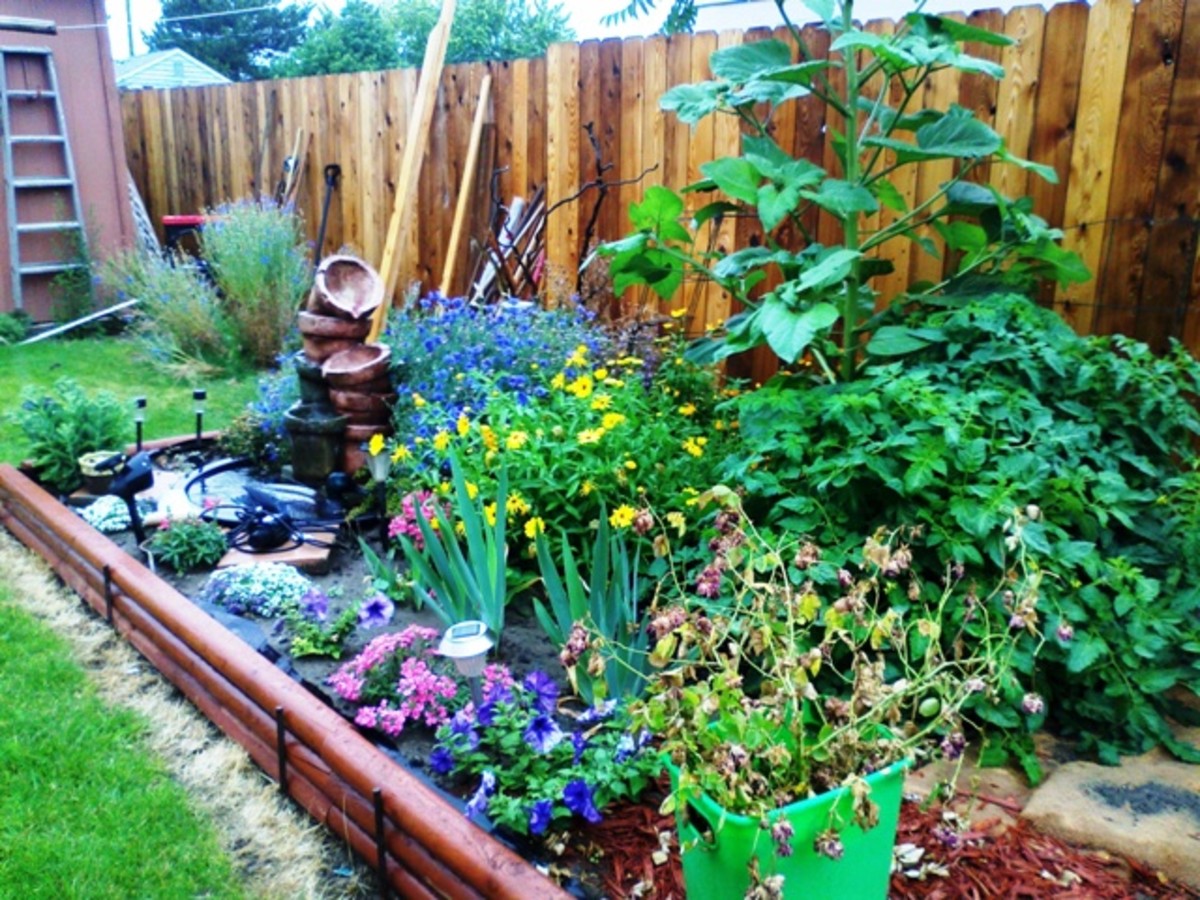 EasytoGrow Garden Plants for the Columbia Basin of Washington State