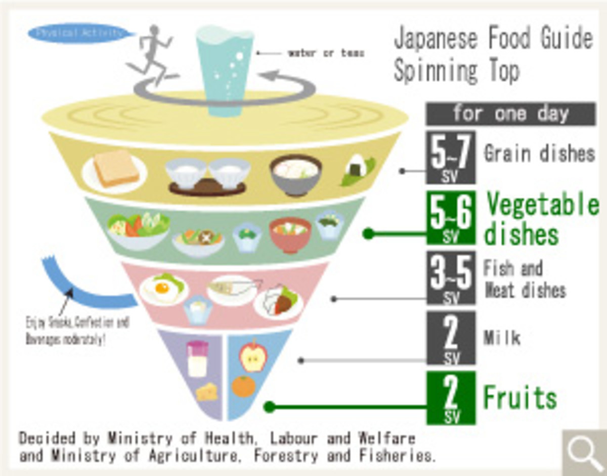 Nutrition With Different Food Pyramids and Plates HubPages