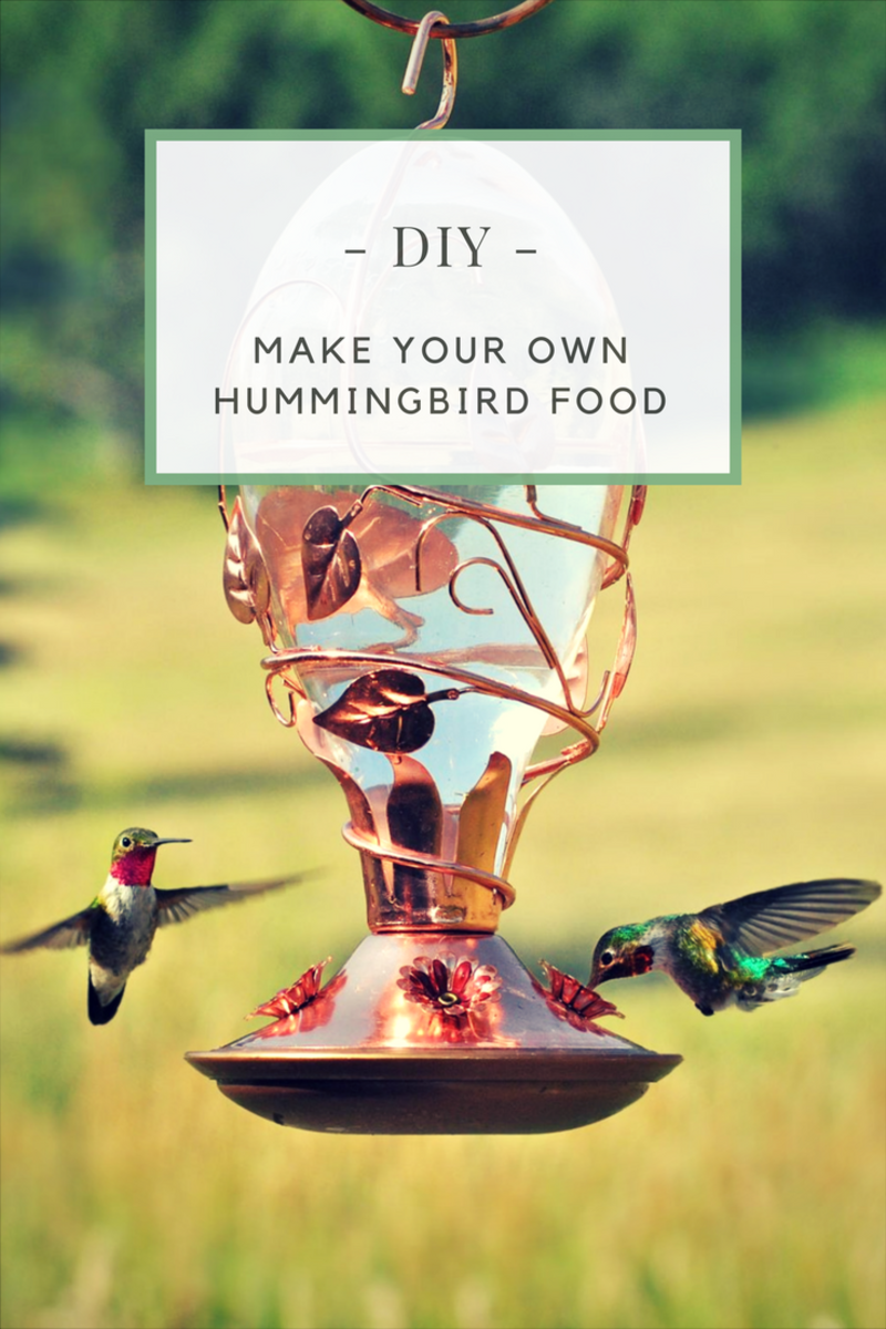 Hummingbird Food Recipe (Super Easy) Dengarden
