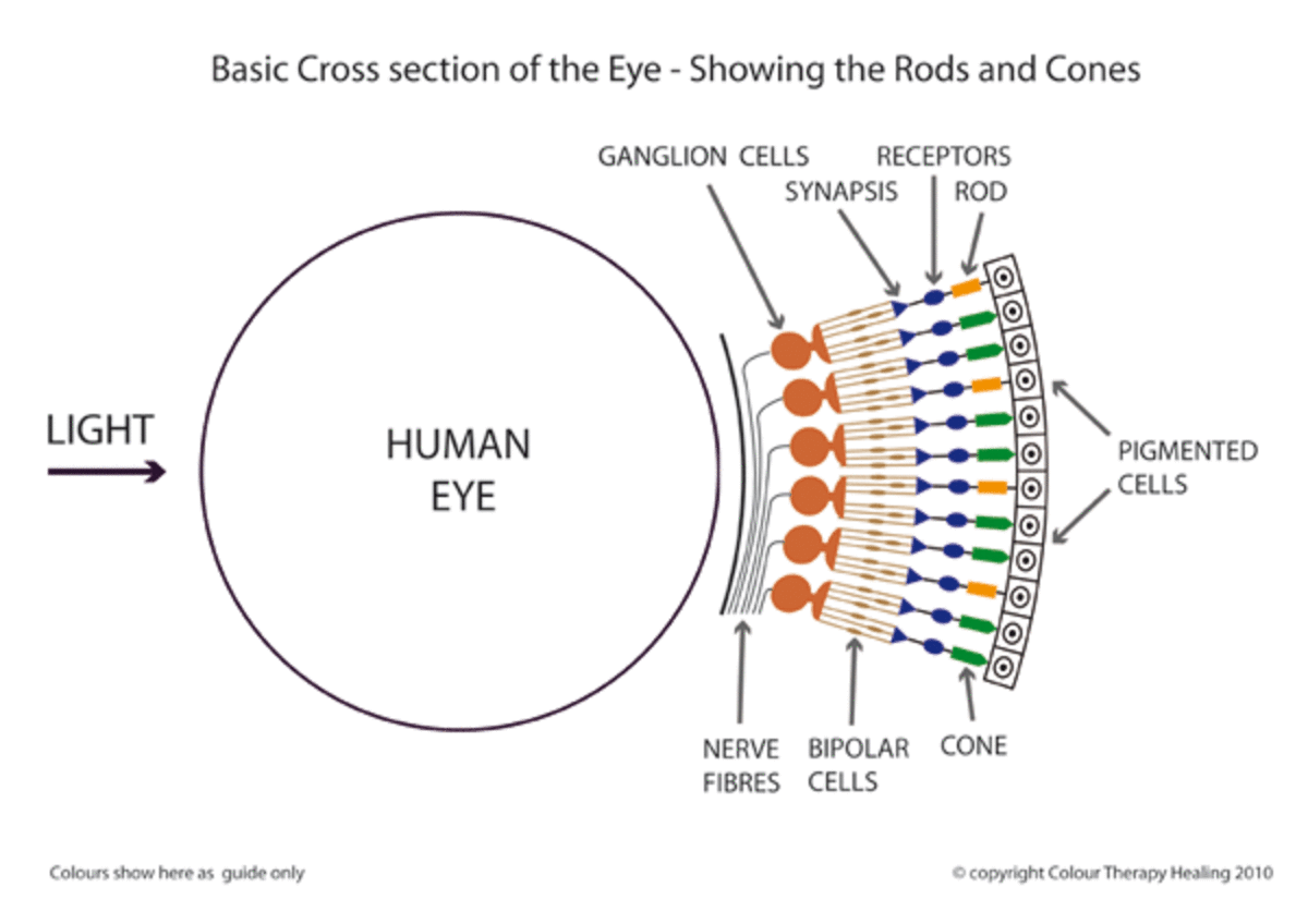 How to Handle Night Blindness and Headlight Glare | HealDove
