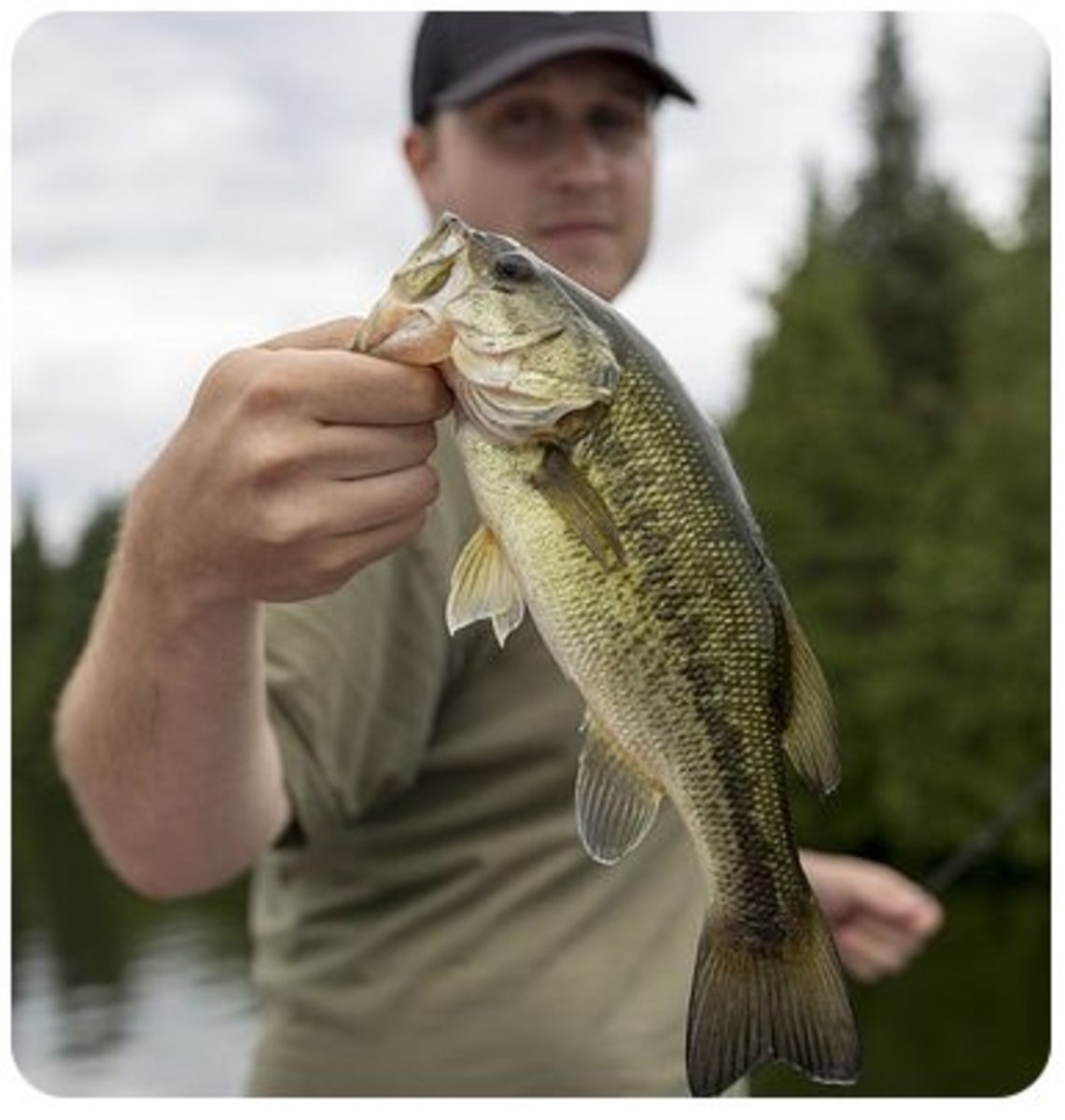 Top 5 Best Fishing Lures for Bass SkyAboveUs