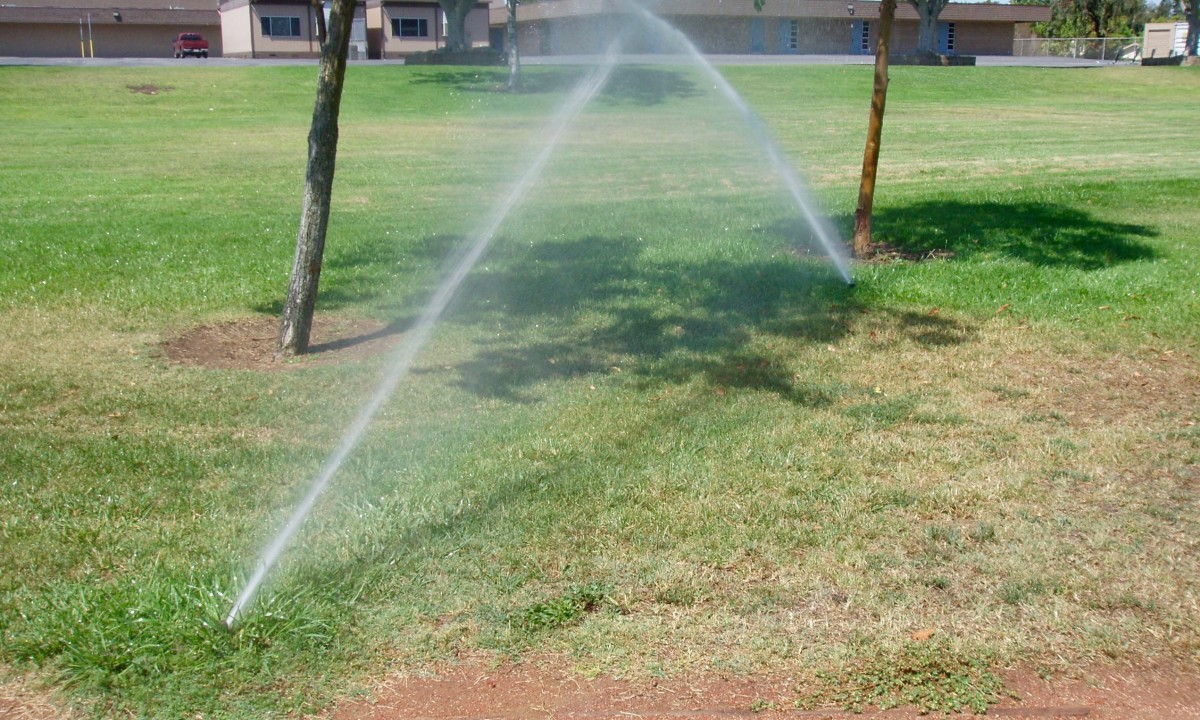 How to Detect a Water Leak in an Irrigation System Dengarden