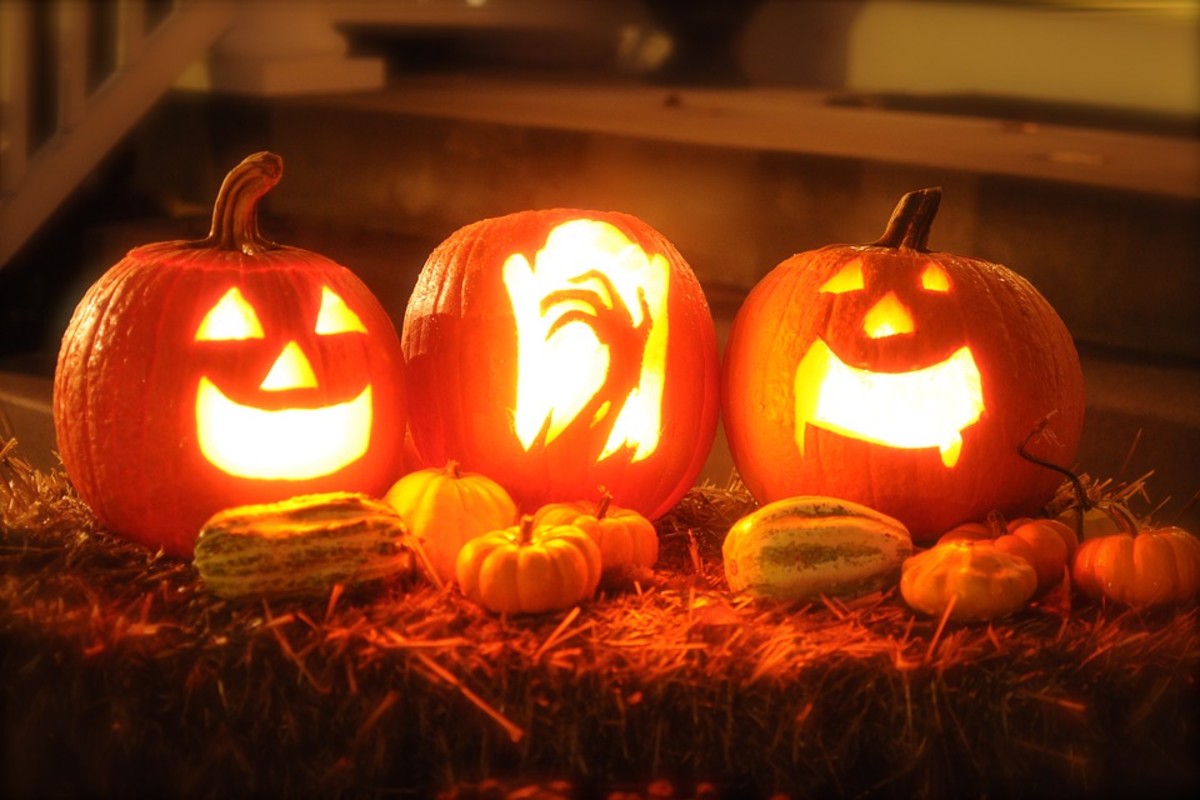 The Best Pumpkins for JackO'Lanterns Holidappy