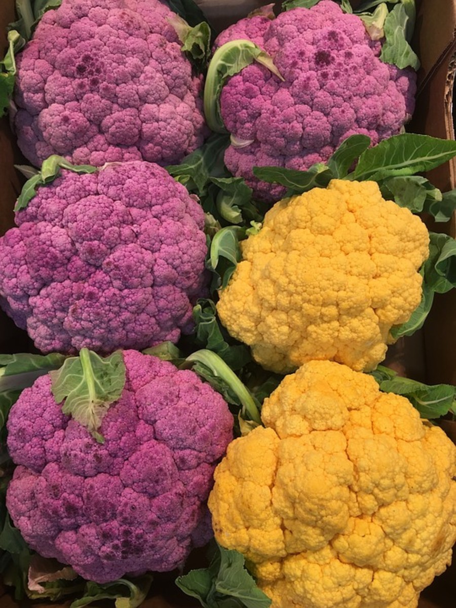 How to Grow Cauliflower Dengarden
