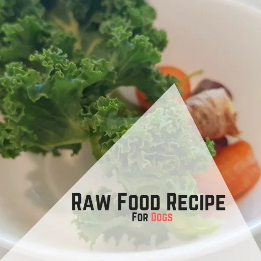 Raw Food Recipe For Dogs HubPages