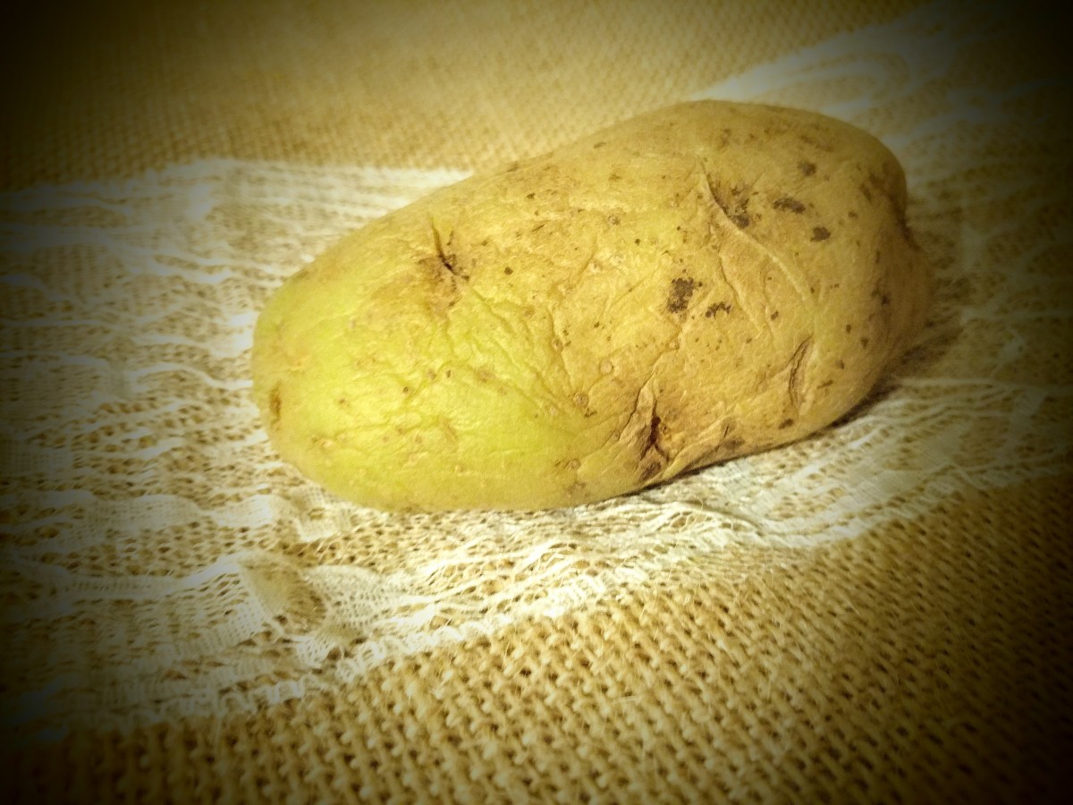 How to Grow Potatoes, Rather Big Potatoes! HubPages