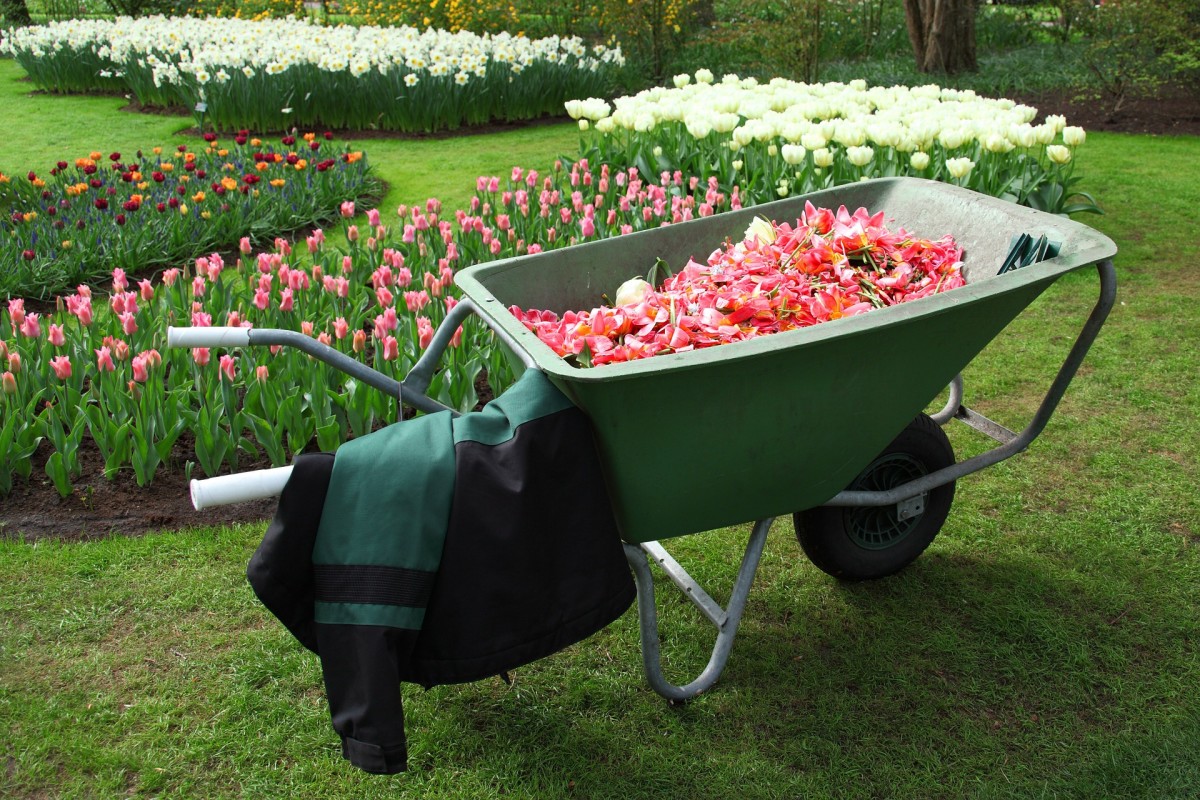 A Guide to Choosing the Best Wheelbarrow HubPages