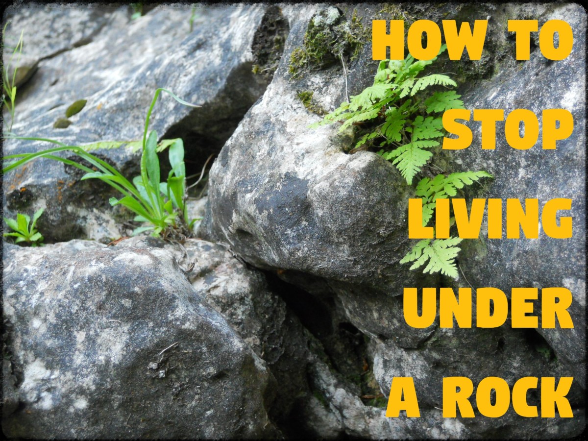 How to Stop Living Under a Rock LetterPile