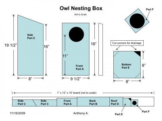 Screech Owl House Plans How to Build a Screech Owl Box
