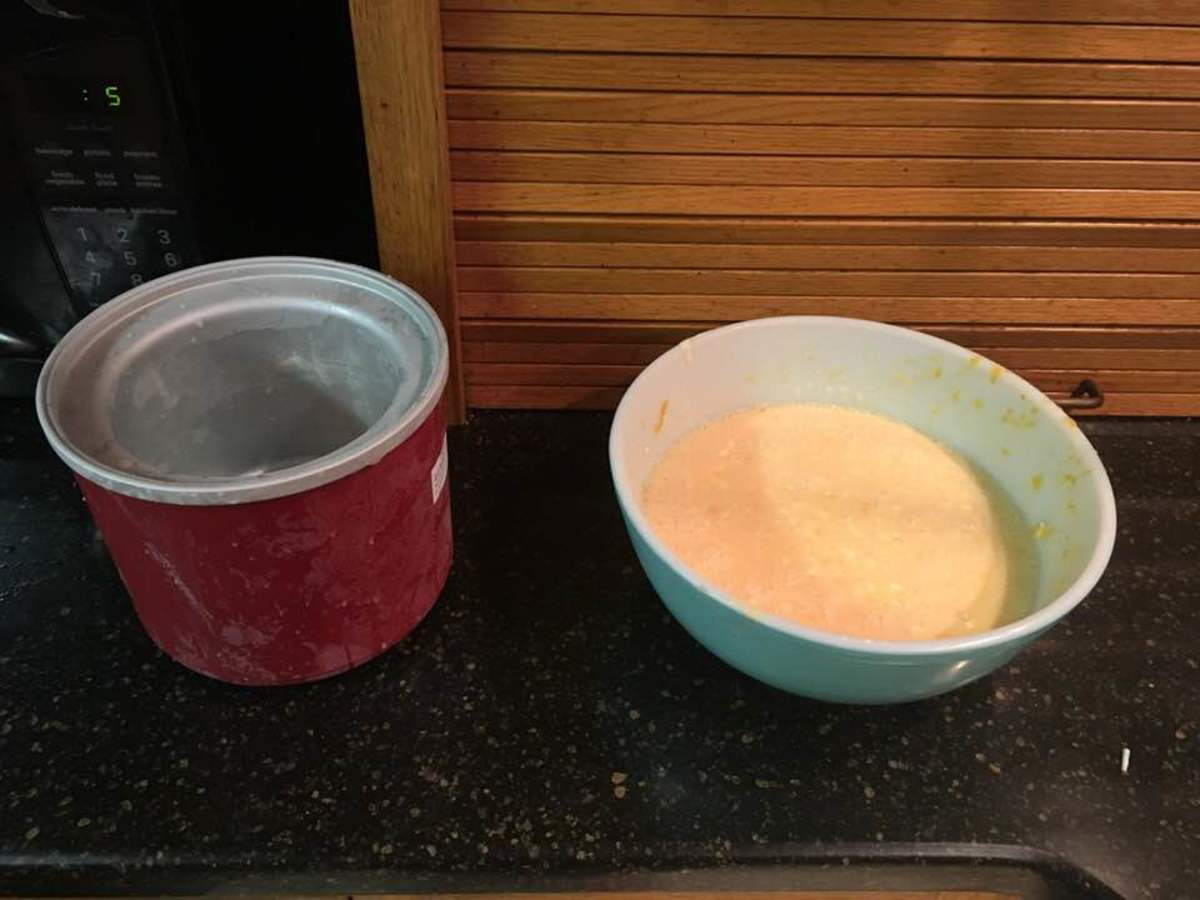 Lebanese Mandarin Orange Frozen Yogurt Recipe Delishably