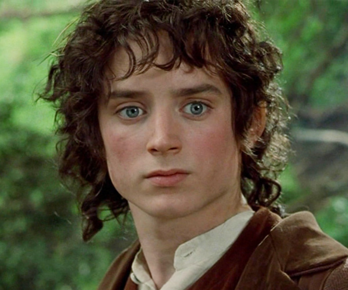 Elijah Wood His Iconic Role as Frodo Baggins in Lord of the Rings