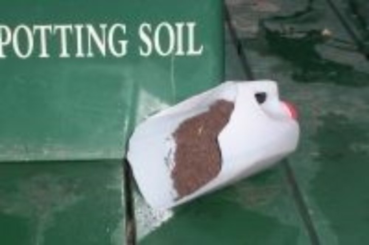 Ideas for Recycling Milk Jugs as Crafts HubPages