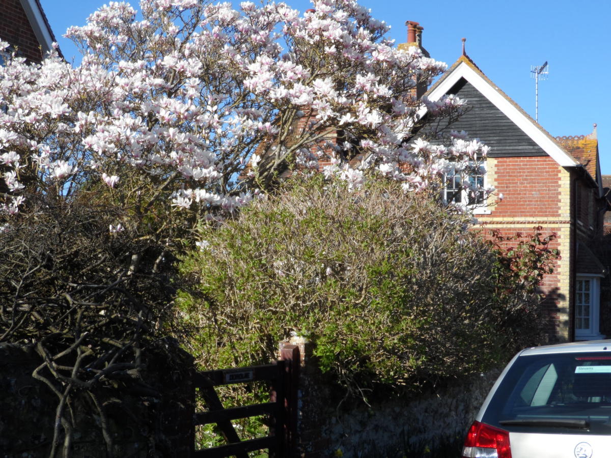 Cheapest Places in the UK to Buy 3 Bedroom Houses (2018) ToughNickel