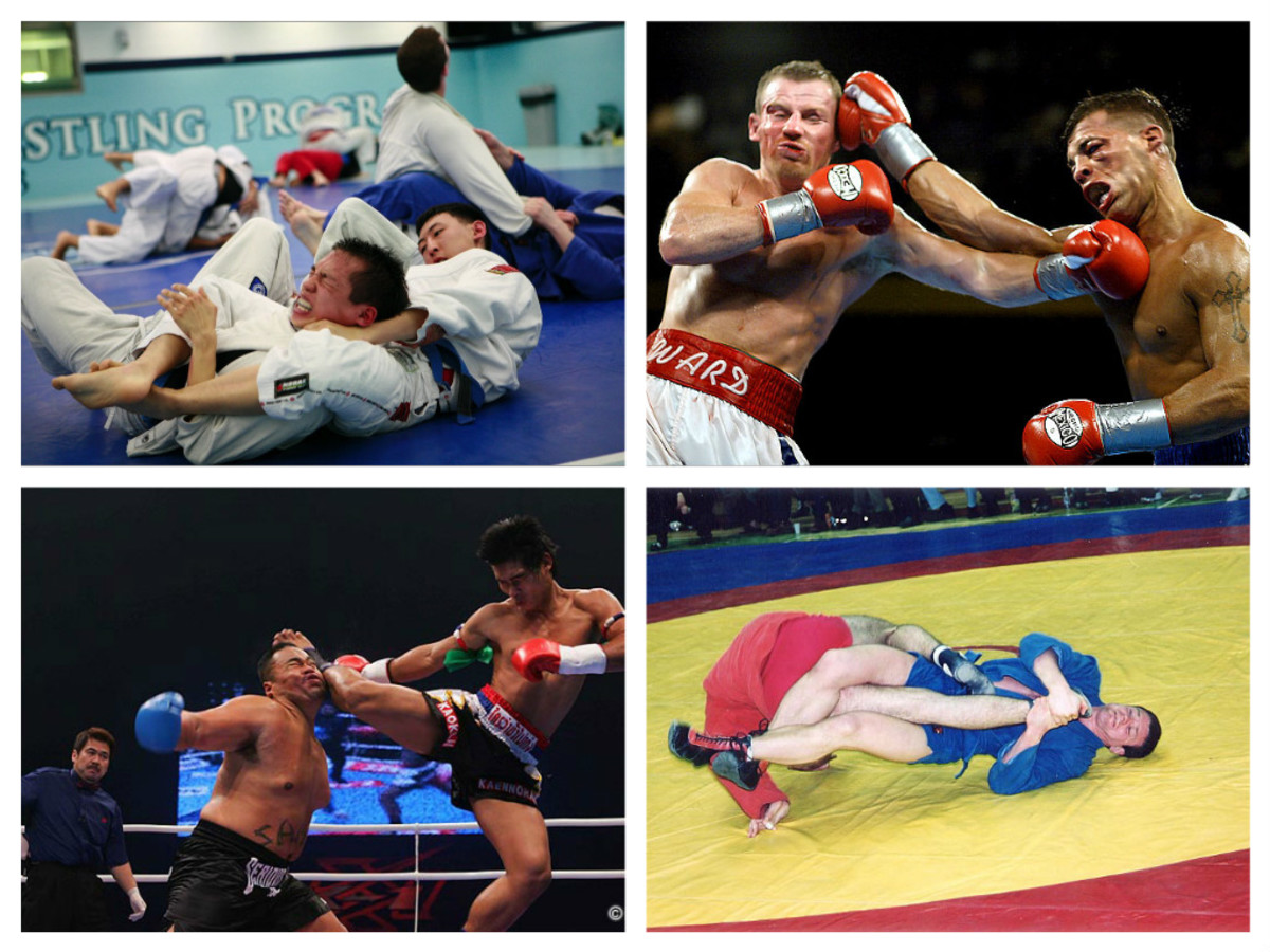 Traditional Martial Arts Versus Mixed Martial Arts HubPages