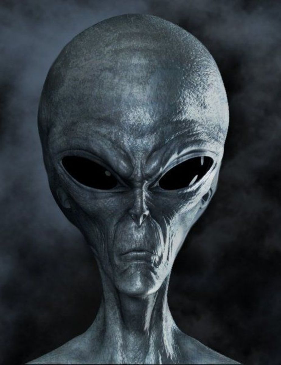 Do Aliens Exist? Three Prominent Alien Types Exposed! Exemplore