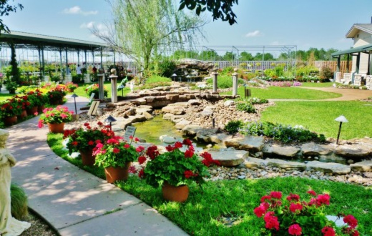 The Brookwood Community Spectacular Place for Special People in