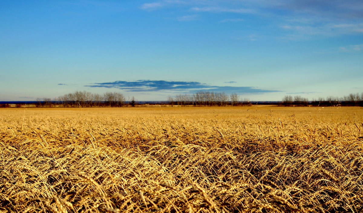 Visit Canada A Humorous Guide and Seventeen Odd Facts HubPages