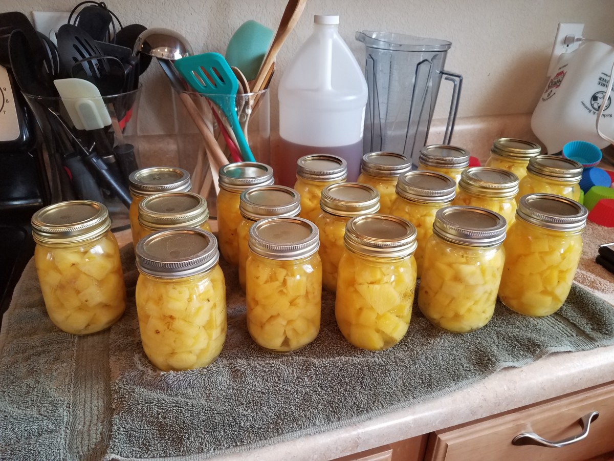 Canning Pineapple Chunks in Water Delishably