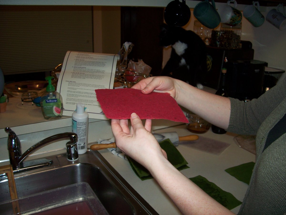 How to Make Paper An Illustrated StepbyStep Guide HubPages