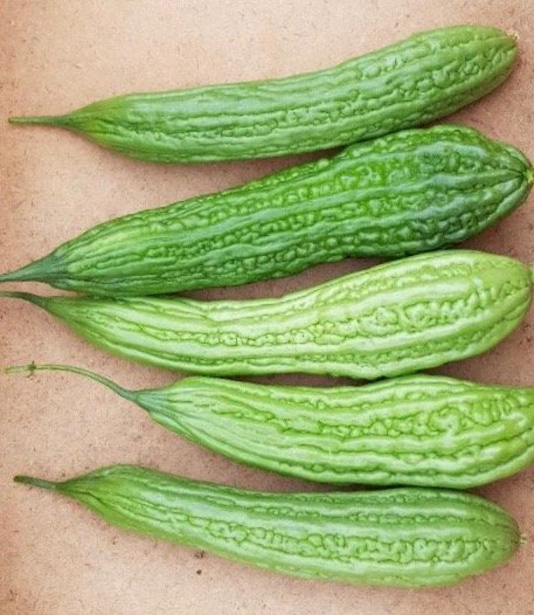 How to Plant, Harvest, and Cook Ampalaya (Bitter Gourd) Dengarden
