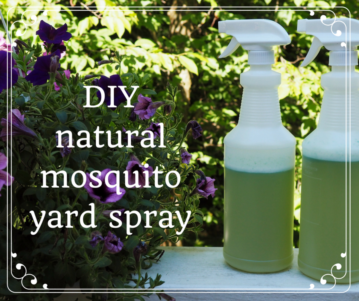 How to Make Homemade Organic Mosquito Yard Spray Dengarden