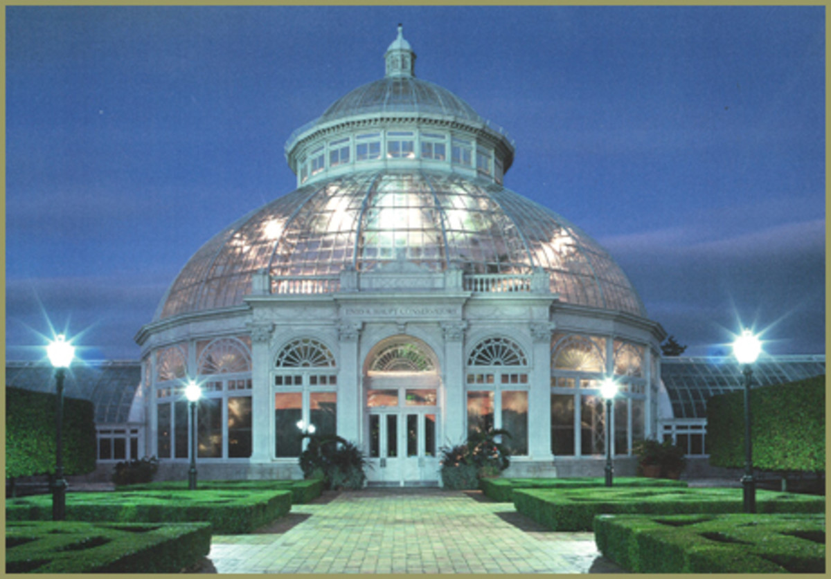 Is the Bronx Safe? (in Case You're Planning to Live in or Tour This