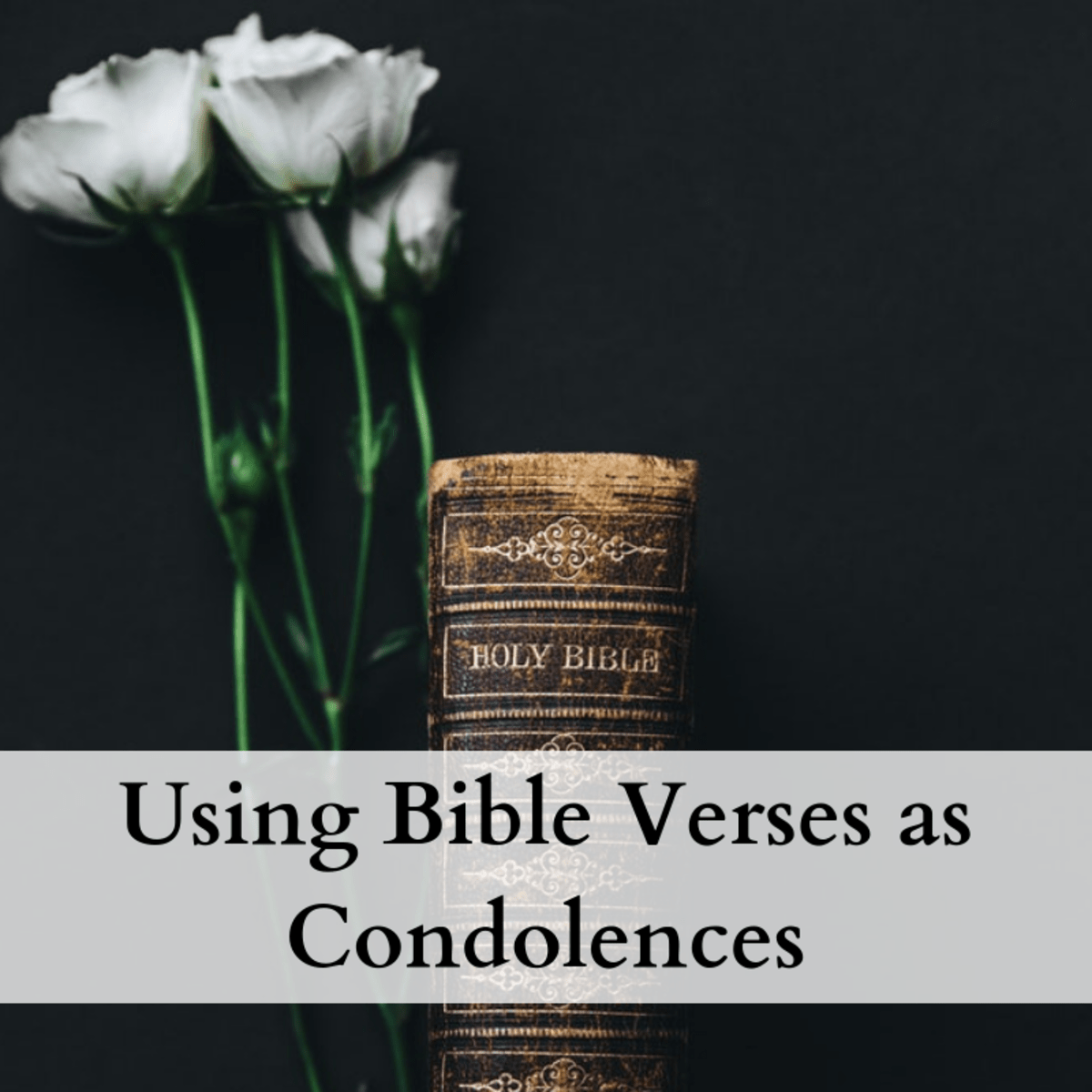 Bible Verses to Use as Condolences and Sympathy Messages