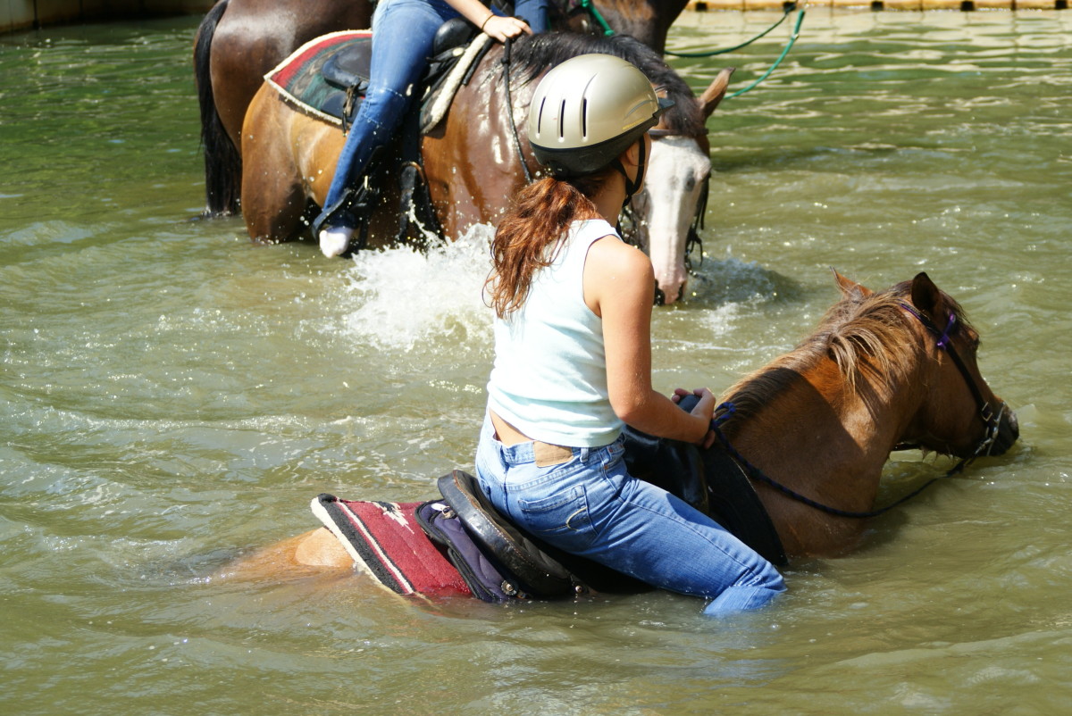 Horseback Riding on the Beach HubPages