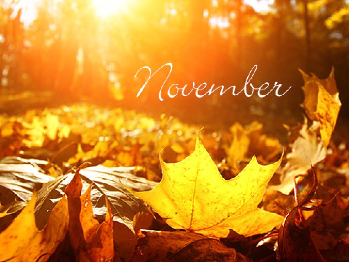 November Interesting Things About the Month HubPages