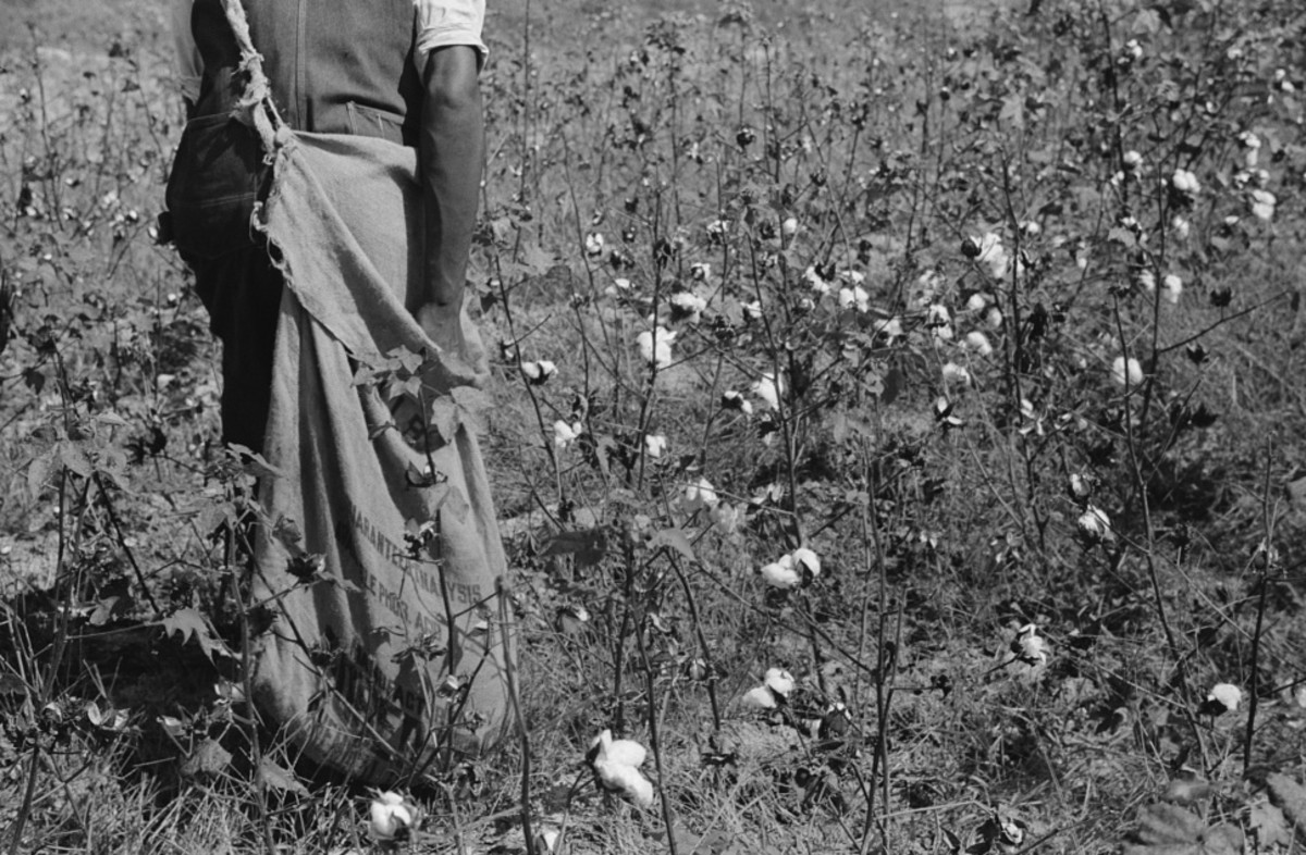 The Elaine Arkansas Massacre Owlcation