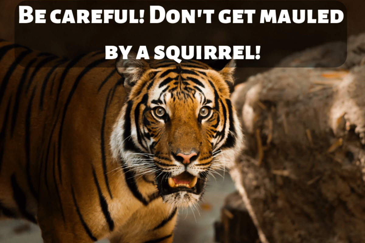 Don’t Make it Bitter: 101 Different Ways to Say Goodbye (2022)