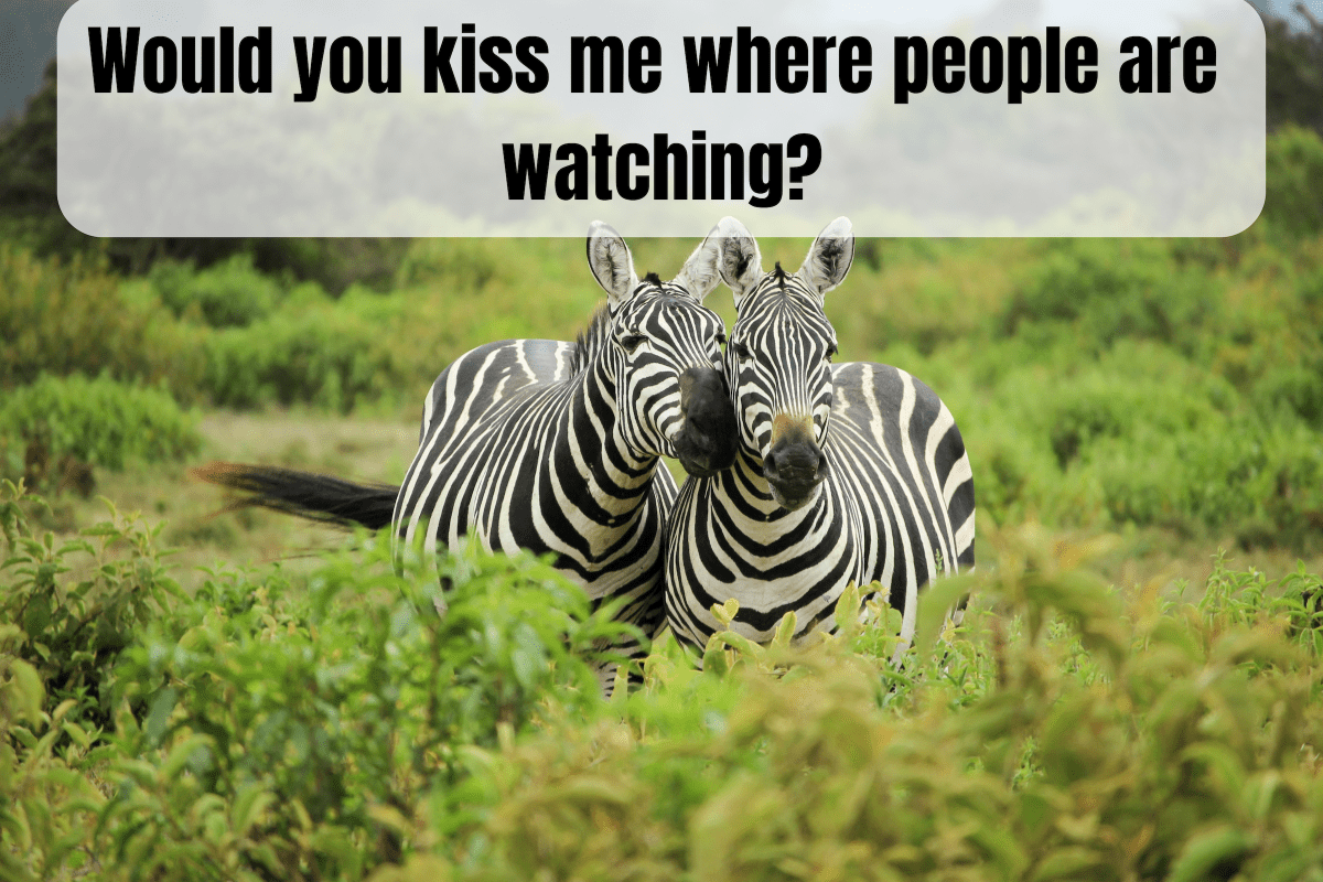 150+ Cute Questions to Ask Your Girlfriend PairedLife