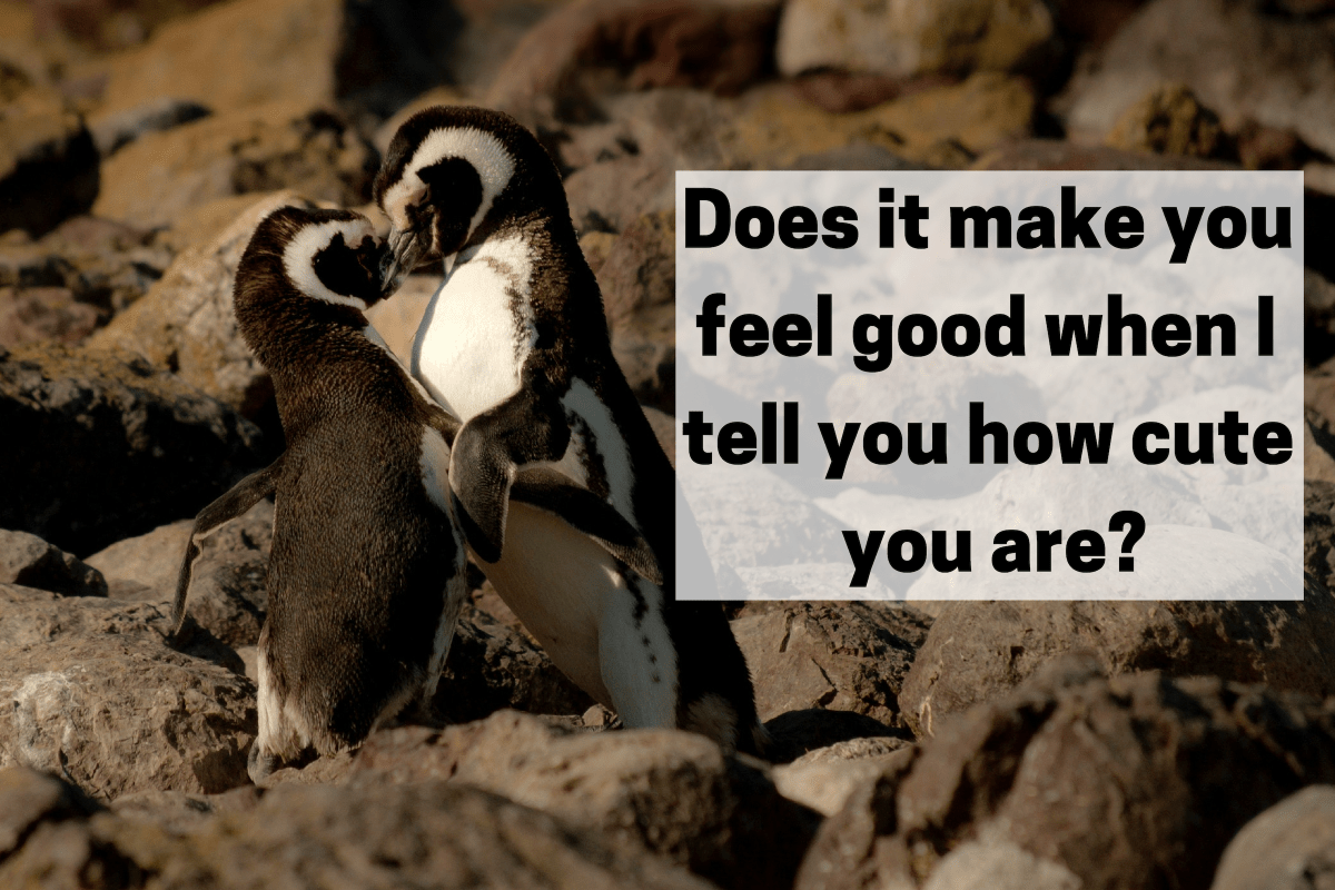 150+ Cute Questions to Ask Your Girlfriend PairedLife