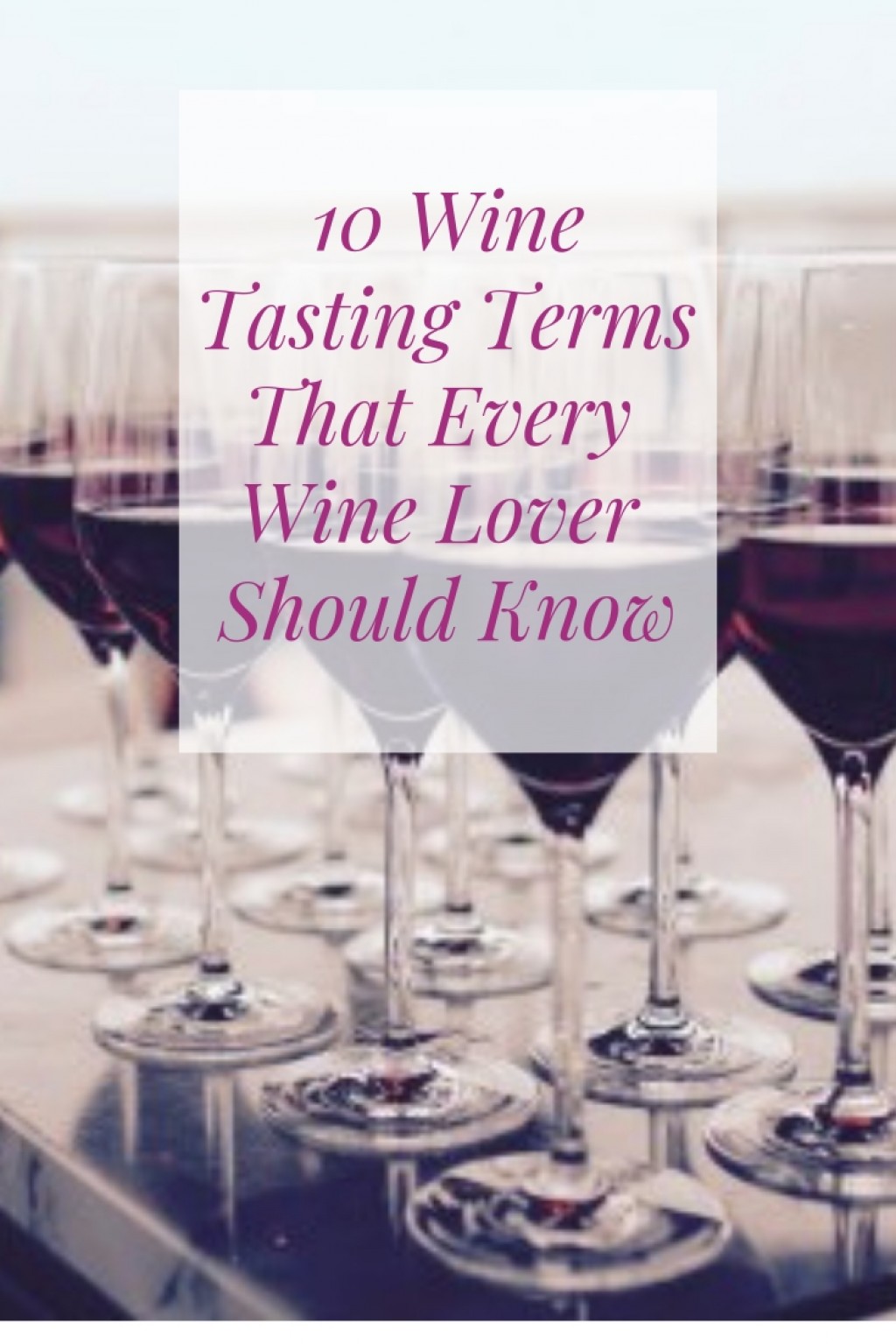 10 Wine Tasting Terms for Beginners and How to Taste Wine Like a Professional Delishably