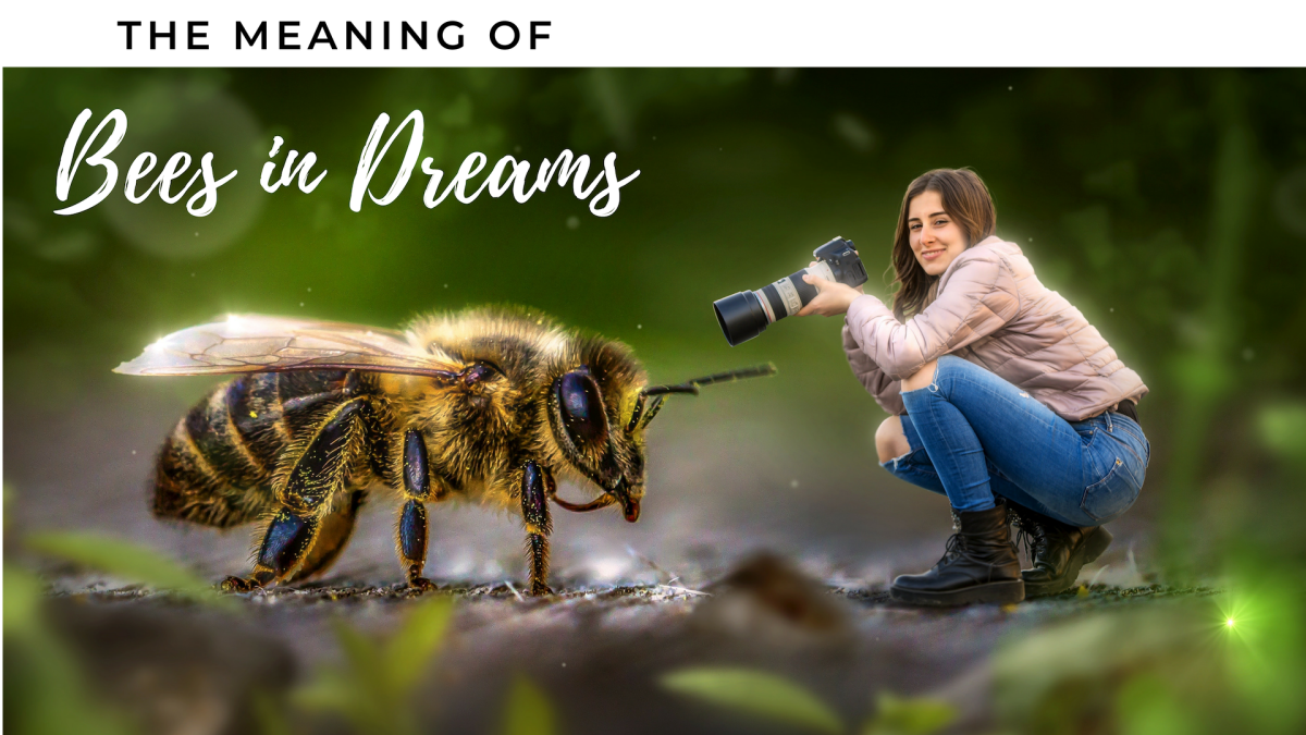 How to Interpret Dreams About Bees HubPages