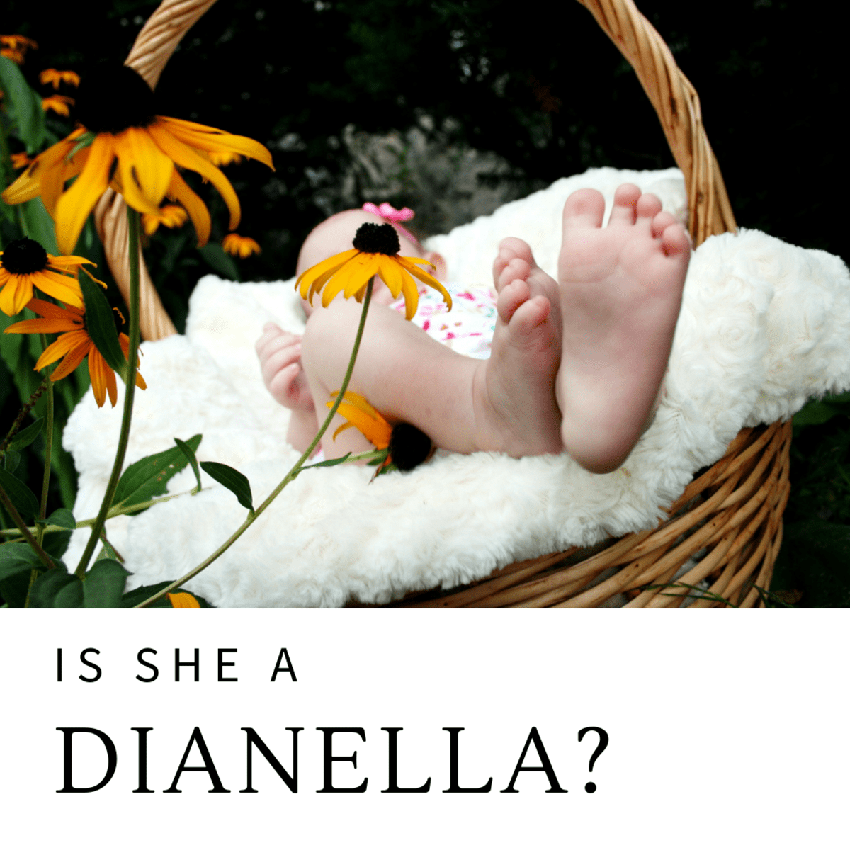 150+ Beautiful Flower Names for Baby Girls WeHaveKids